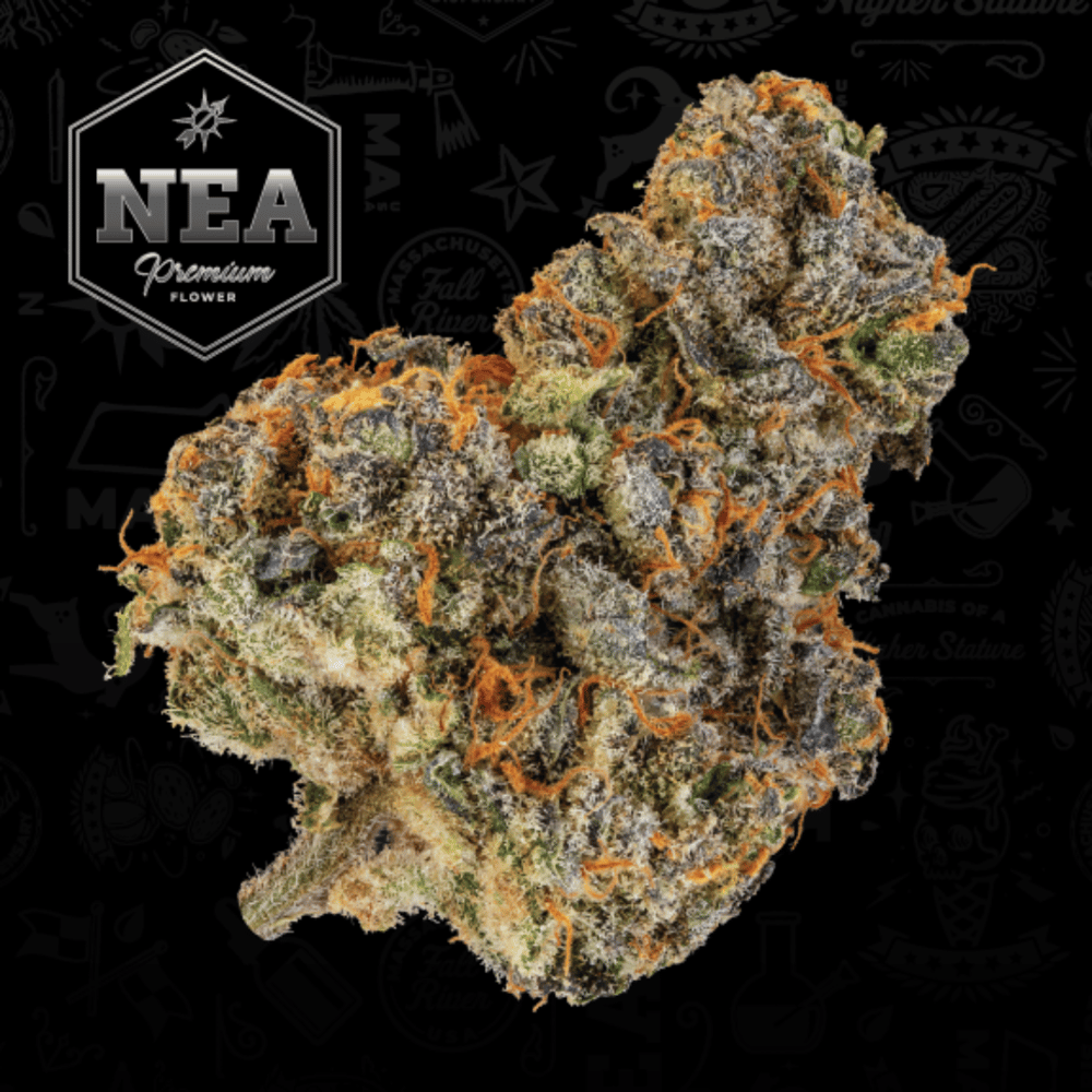 Heavy Eye by Northeast Alternatives
