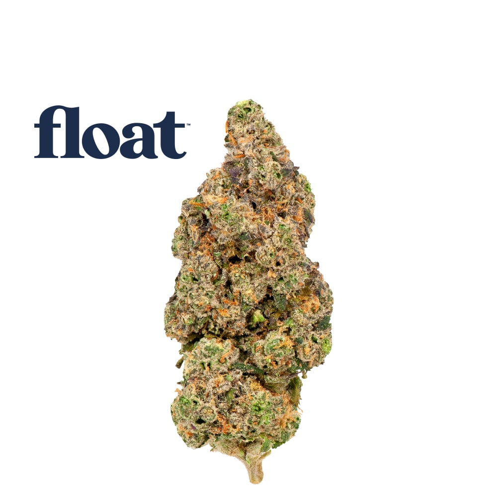 Ya Hemi by Float
