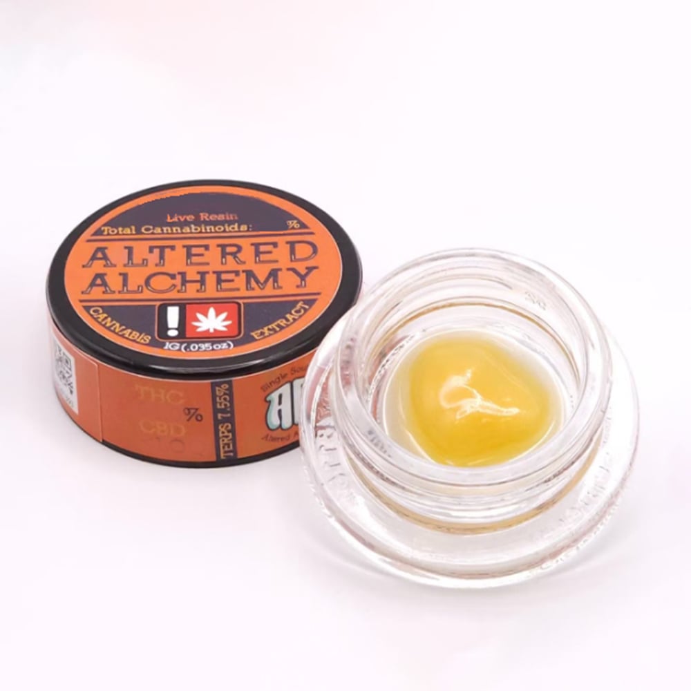Apricot Head by Altered Alchemy