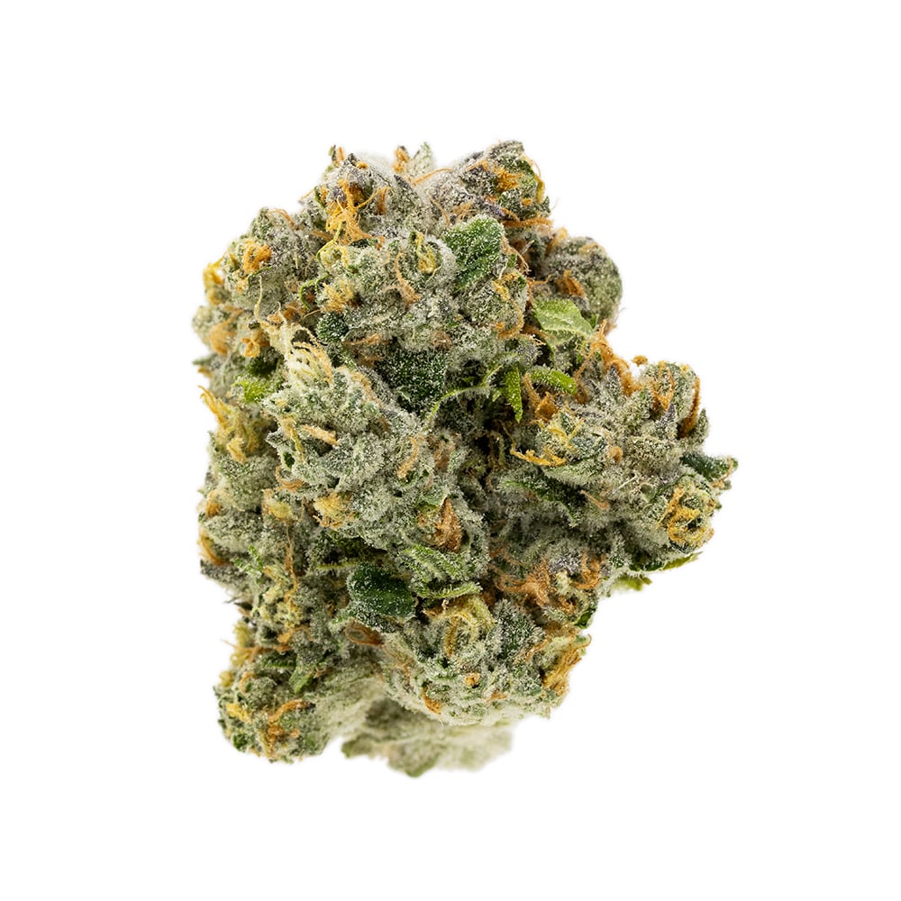 Royal Durban by Terrapin