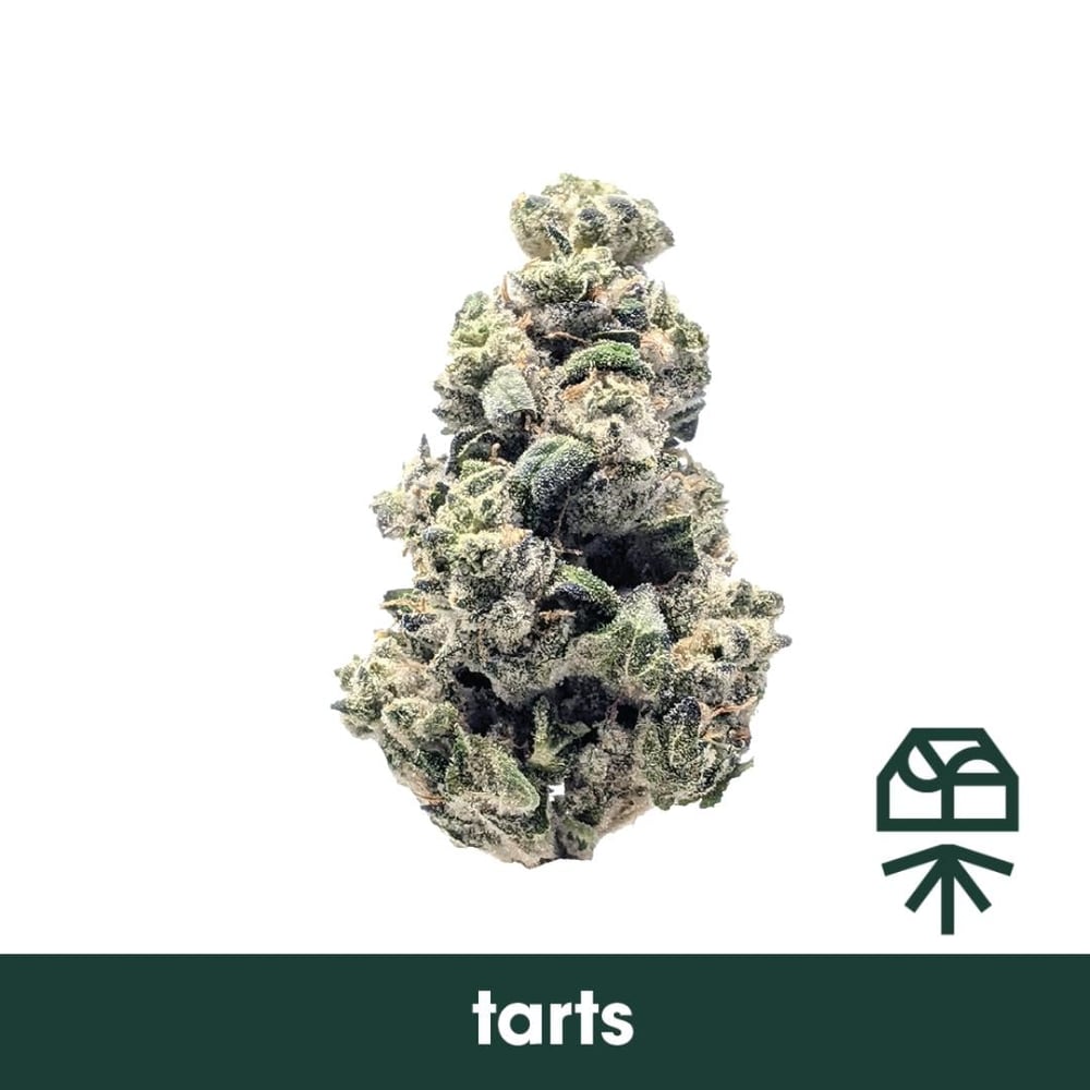 Tarts by Grassroots