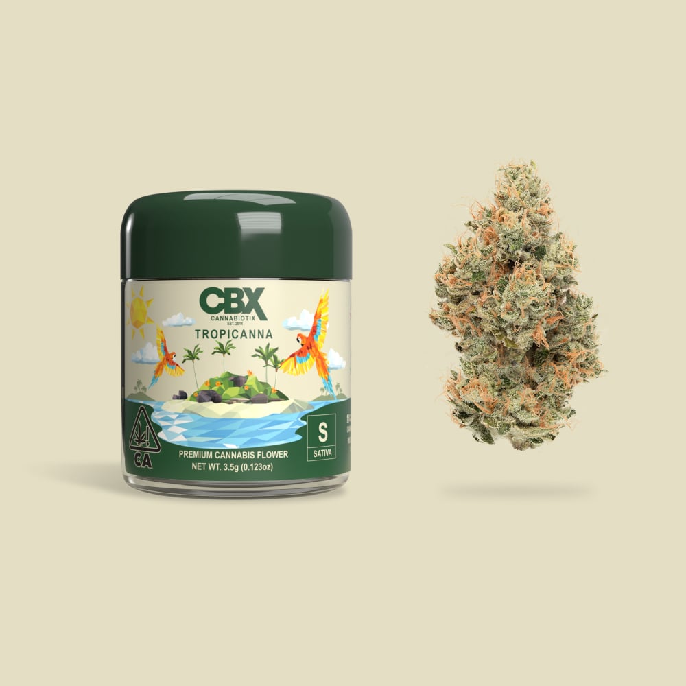 Tropicanna by CBX Cannabiotix in United States