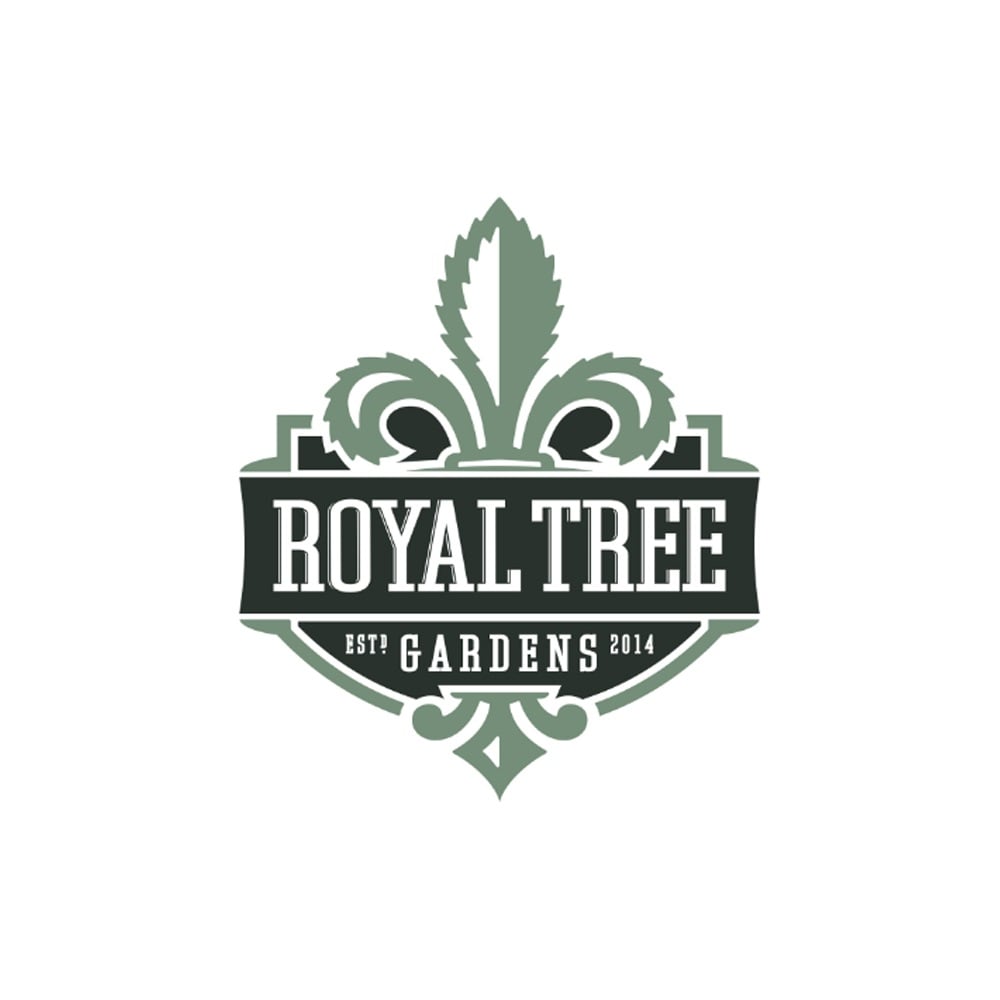 A La Mode [1g] by Royal Tree Gardens
