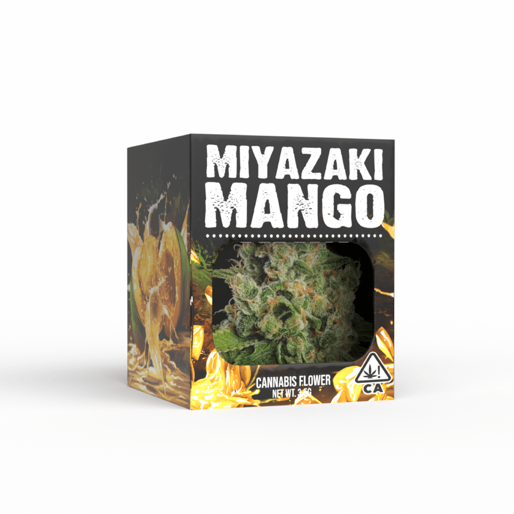 Miyuzaki Mango by Decibel Gardens