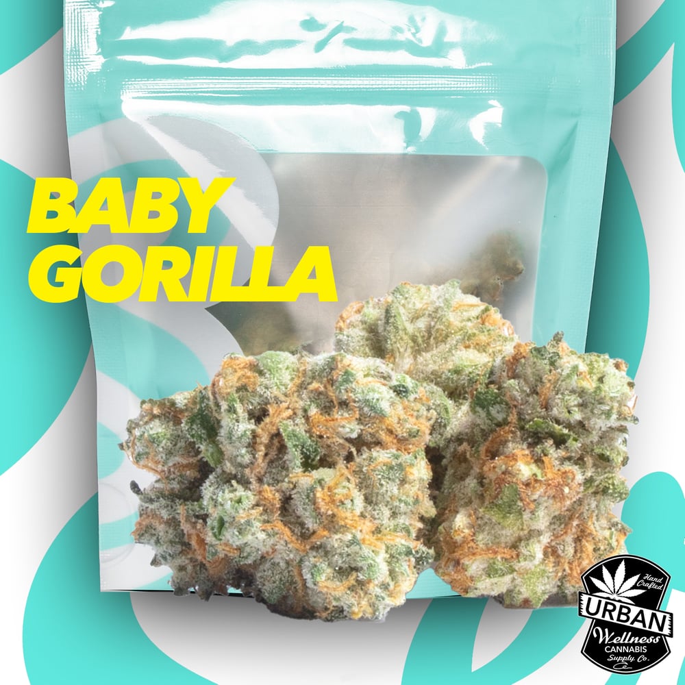 Baby Gorilla by Soft Serve