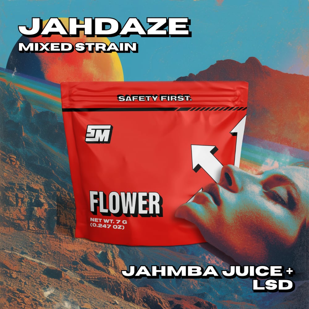 JAHdaze by Safety Meeting - IL