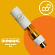 Focus