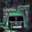 RTM Animal Scout