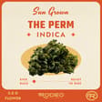 Perm