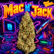 Mac N Jack