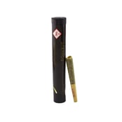 Shop Nebula Nectar [.5g] | Green Dragon Fort Collins Dispensary
