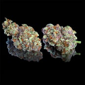 Shop Blueberry Zkz | Sweet Flower - Chico Dispensary Chico, CA