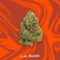 LA Baker