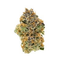 Mimosa EVO Mimosa EVO