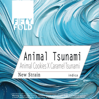Animal Tsunami