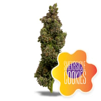 Sherbsicle Cookies