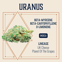 Uranus Uranus