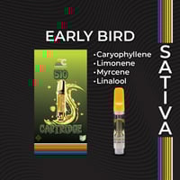 Shop Tangie Dream | BEYOND / HELLO - Parma, OH (Med) Dispensary