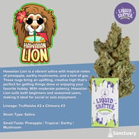 Shop Liquid Shatter - 508 | Sanctuary - Woburn MED Dispensary Woburn, MA