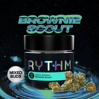 BRWN E SCT BRWN E SCT