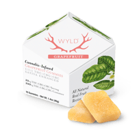 Shop Kiwi 1:1 THCv + Sativa Enhanced Gummies | 100mg THC:100mg
