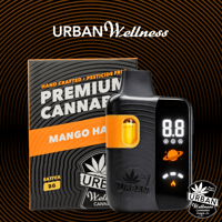 Mango Haze [2000mg]
