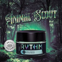 Animal Scout Animal Scout