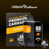 Mimosa [2000mg]