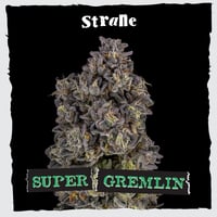 Super Gremlin