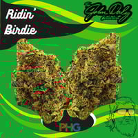 Shop Wingsuit | Insa - Newtown Square Dispensary Newton Square, PA