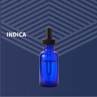 Shop Pure Dakota Health Fargo Dispensary Fargo, ND Browse Menu