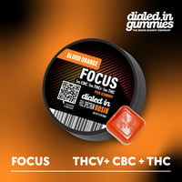 100mg - Blood Orange Focus 1:1:1 - Rosin Gummies  (10pk)
