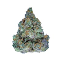 Cherry Chocolate Widow