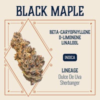 Black Maple Black Maple
