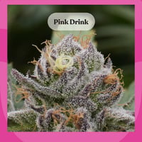 Pink Drink Pink Drink