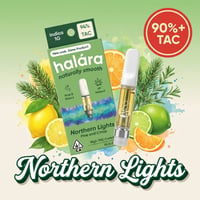 Northern Lights