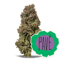 Pavé