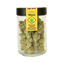 Shop Mimosa | Spokane Green Leaf Dispensary Spokane, WA