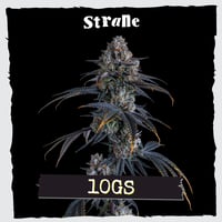 10Gs 10Gs