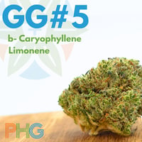 GG#5