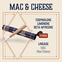 Mac & Cheese [1g]