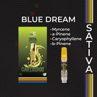 Shop Northern Lights | BEYOND / HELLO - Warren (Med