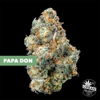 Papa Don Papa Don