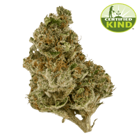 Banana Kush