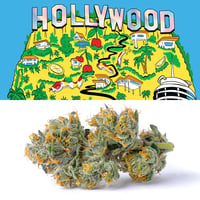 Hollywood Hollywood