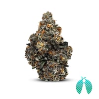 Shop featured cannabis products | Organic Remedies - Chambersburg  Dispensary Chambersburg, PA
