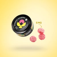 Shop Spark Watermelon [11pk] (110mg CBD/110mg THC) | Consume
