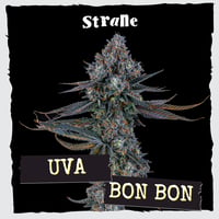 Verilife Silver Spring Menu - Recreational Cannabis in Silver