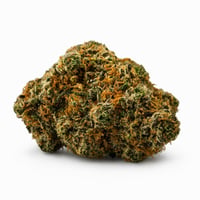 Buddha Gas Buddha Gas