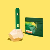 d04969a0-4d16-4482-80f5-